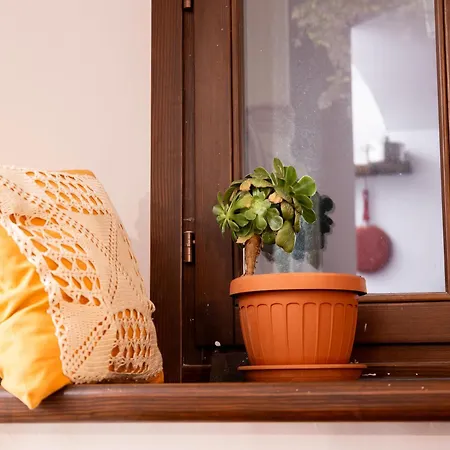 Borgata Giostra Homestay *
